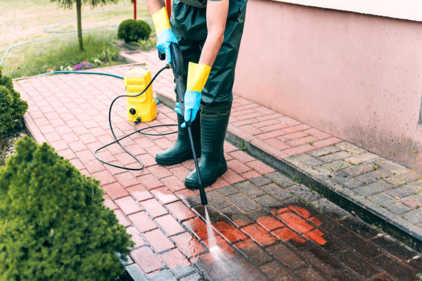 Best Pressure Washing Siding  in Dunlap, IL