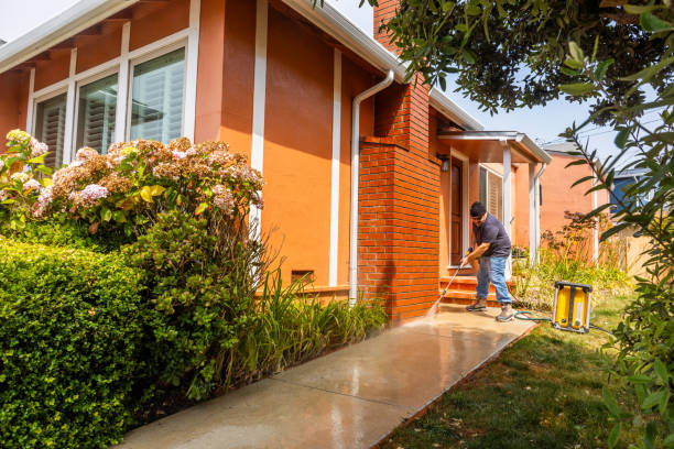 Best Deck Cleaning Services  in Dunlap, IL